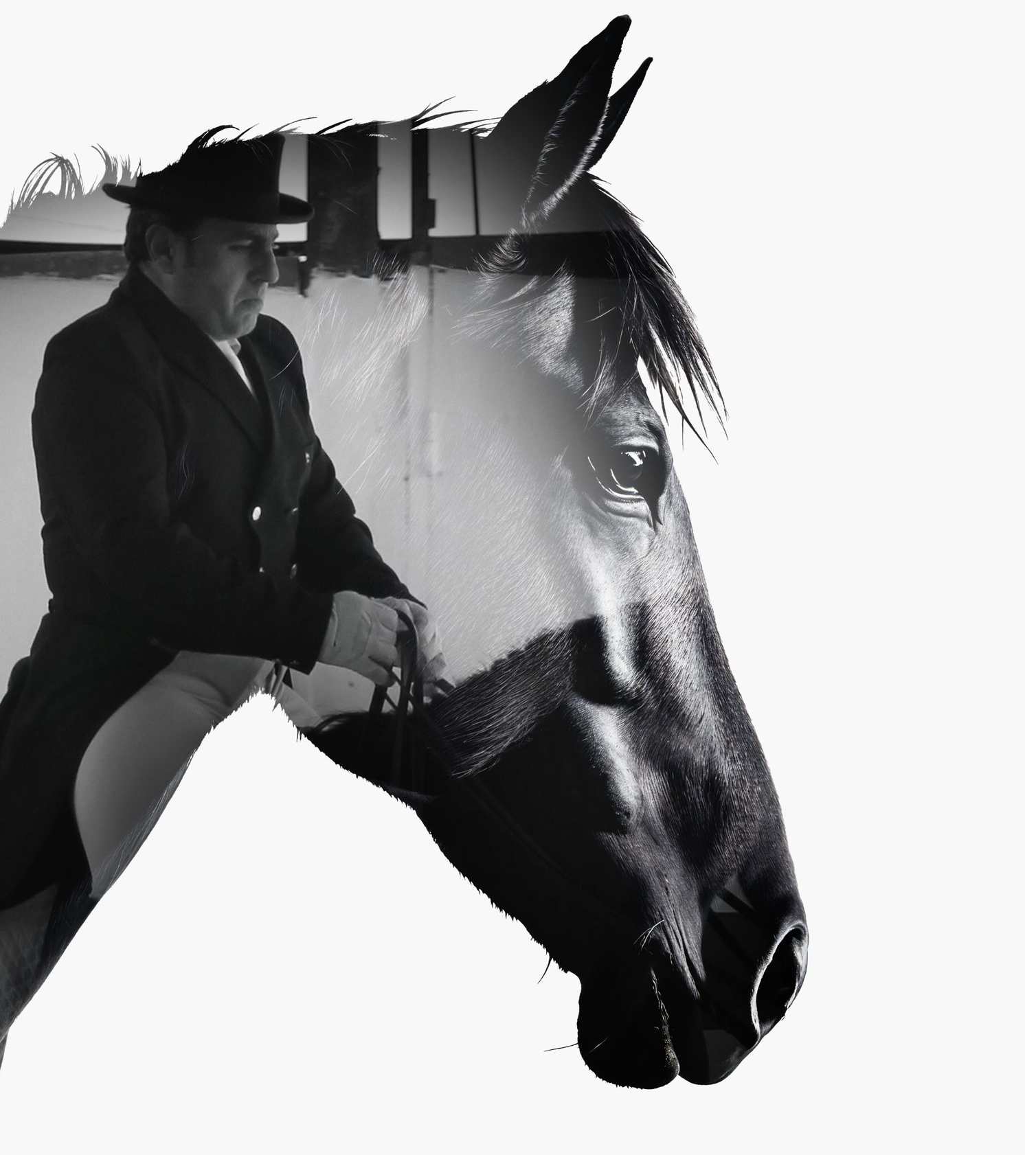 Foto Doma Clasica Fotografia Doma