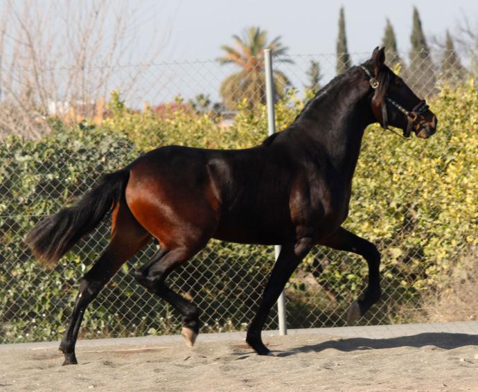 Foto 11 Fotografia 11