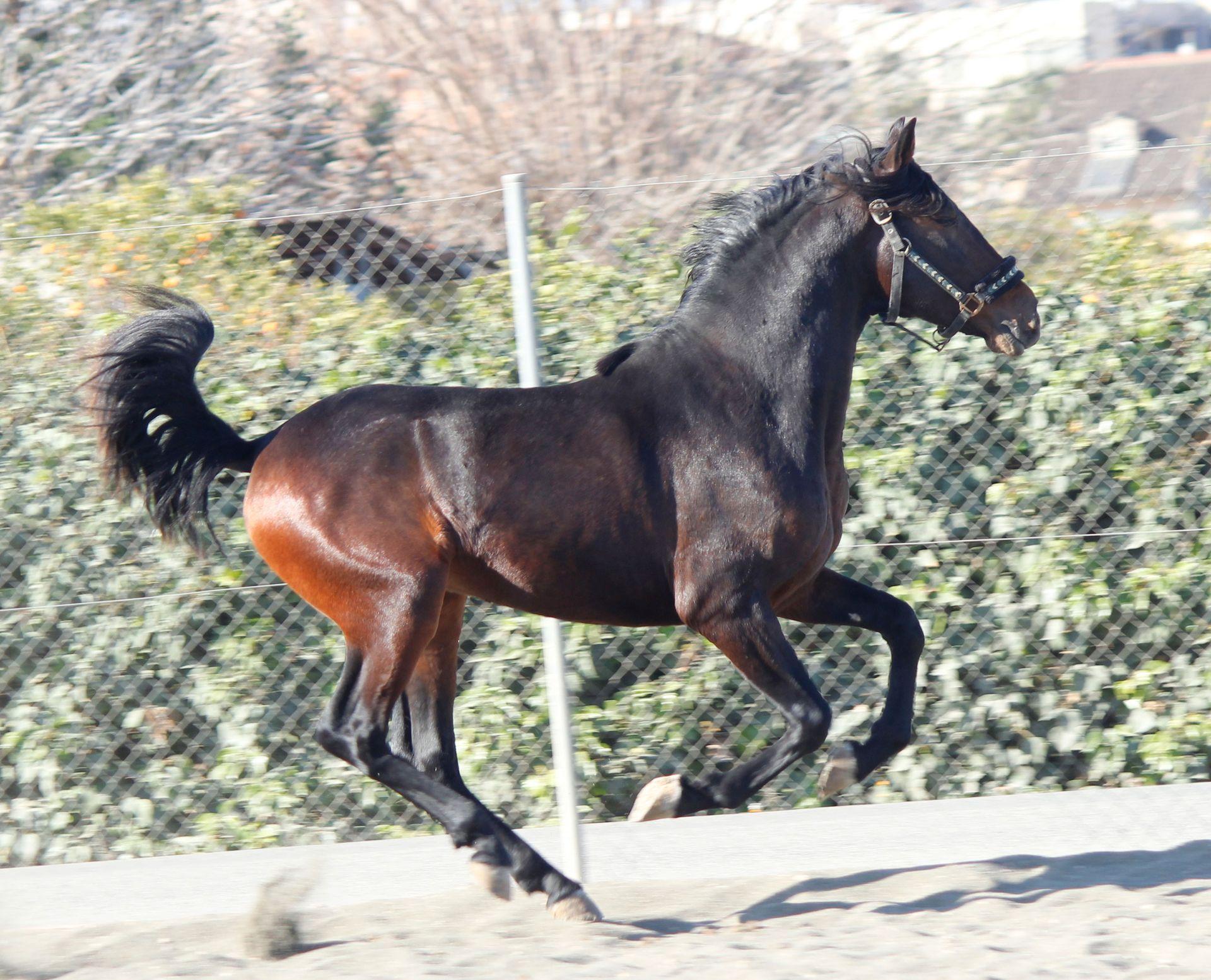 Foto 12 Fotografia 12