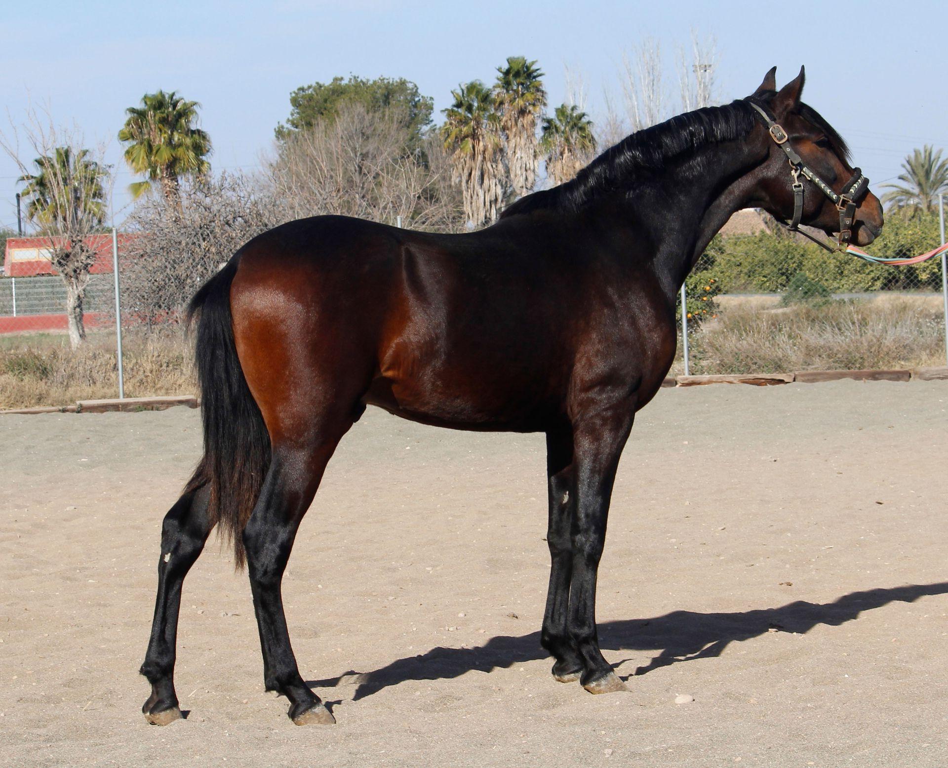 Foto 10 Fotografia 10